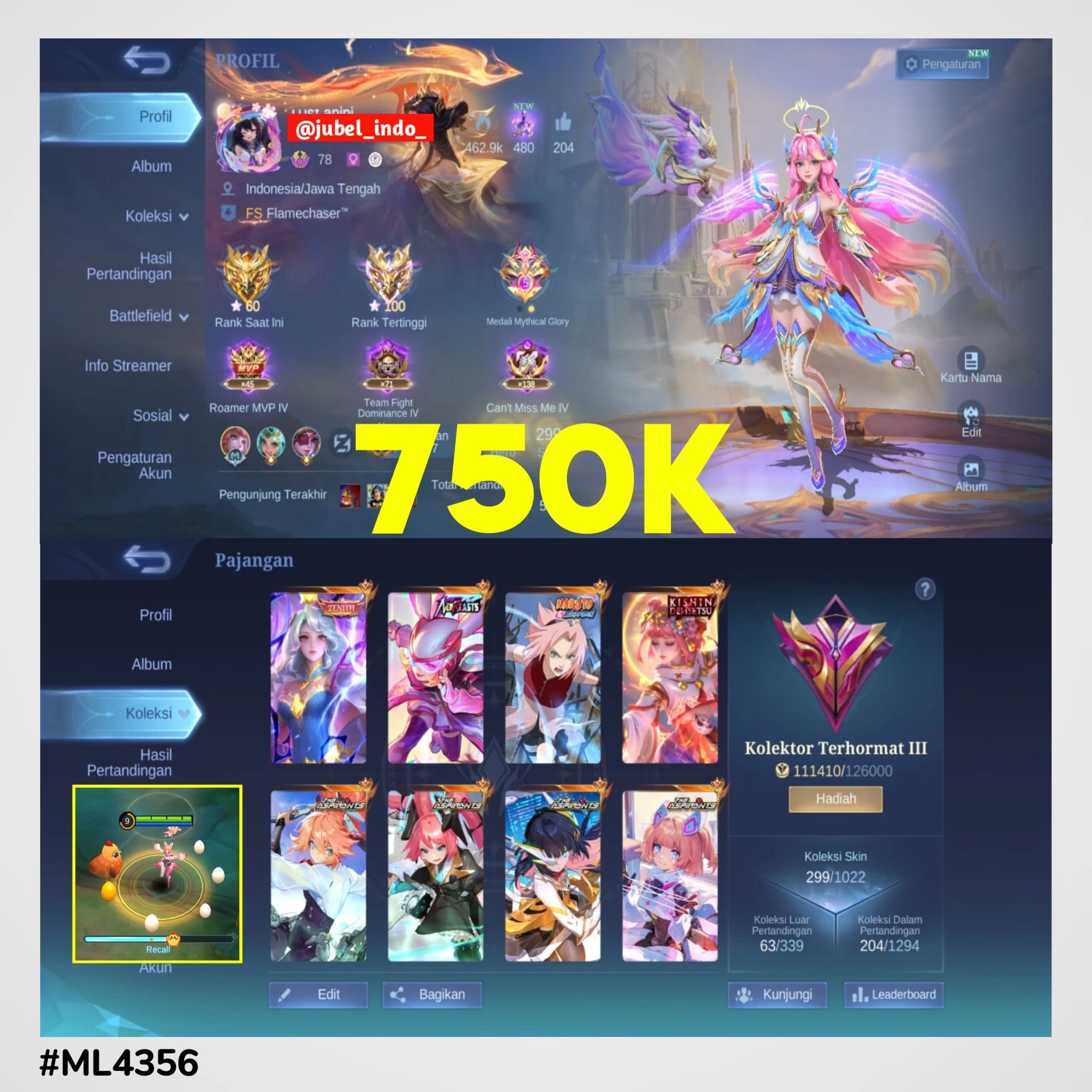 STOK ML #ML4356